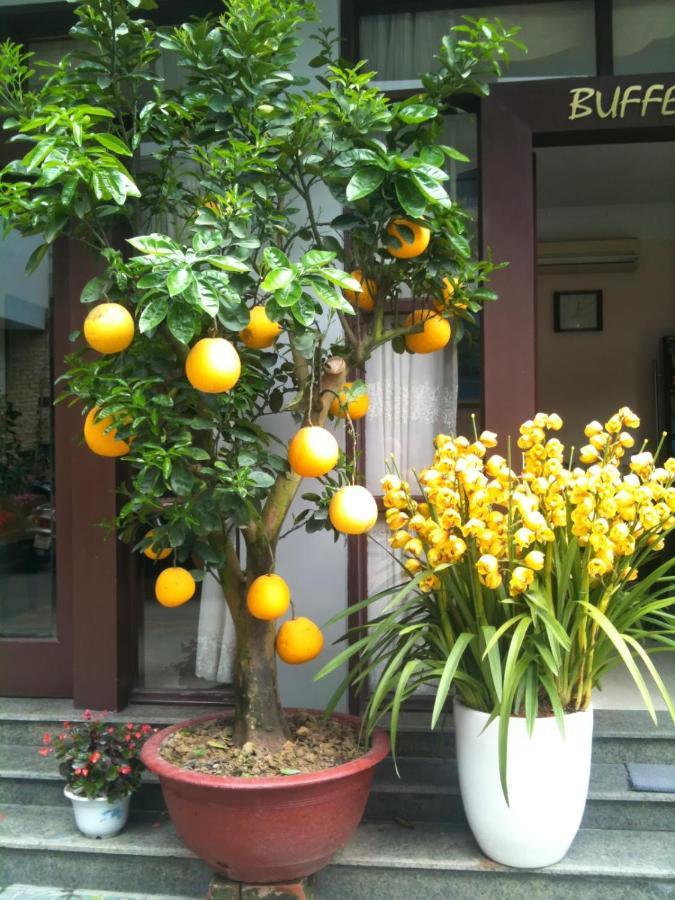 Thien Anh Hotel Hai Phong Luaran gambar