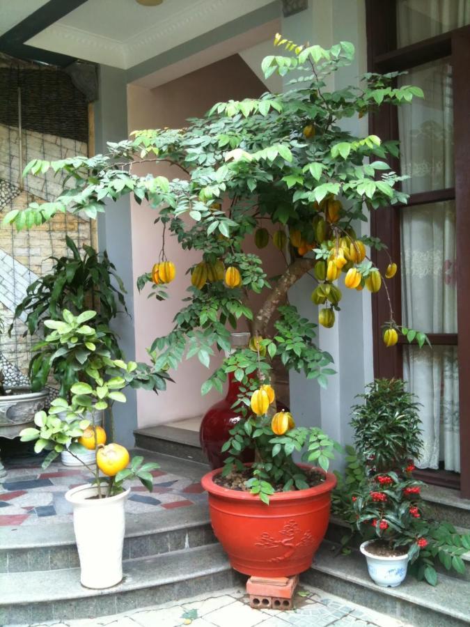 Thien Anh Hotel Hai Phong Luaran gambar